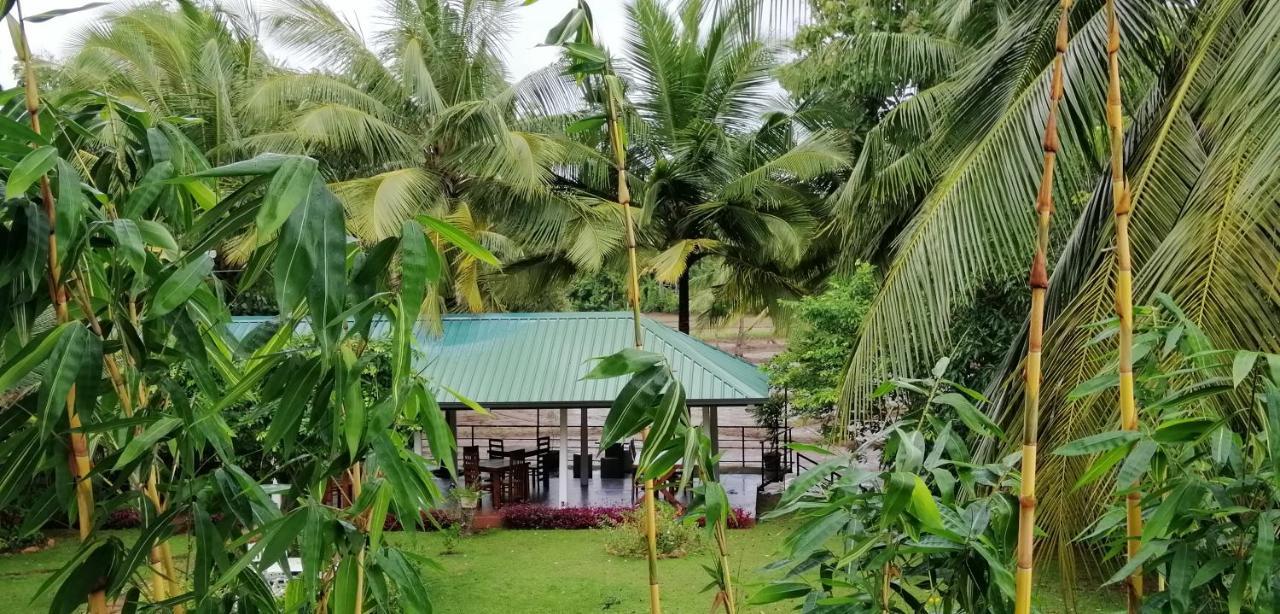 Rajarata Family Resort Anuradhapura Exterior photo